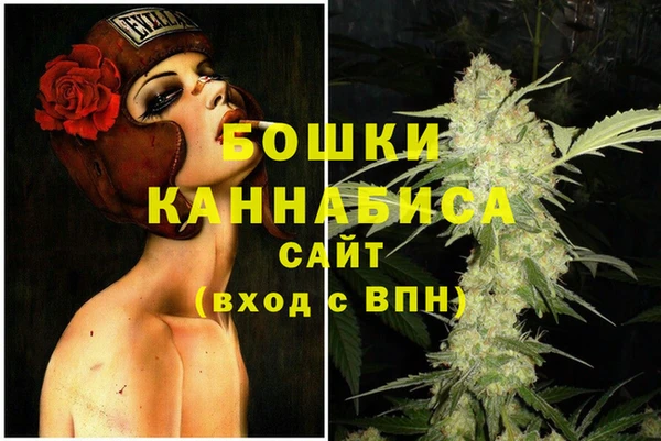 ешки Вяземский