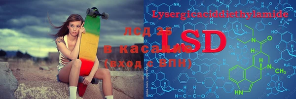 ешки Вяземский