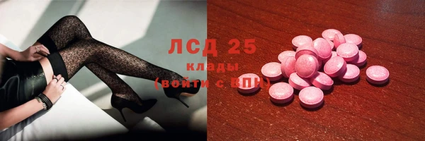 ешки Вяземский
