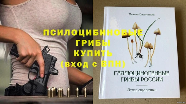 2c-b Вязники