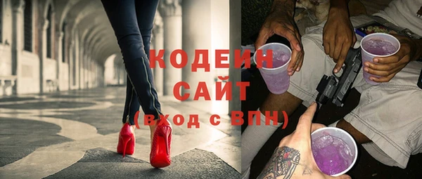 ешки Вяземский